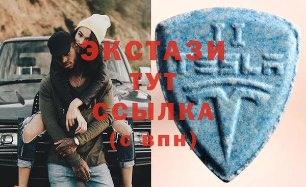 СК Алексин
