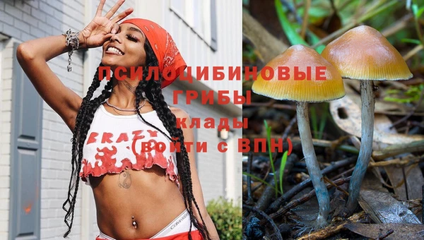 гидра Алзамай