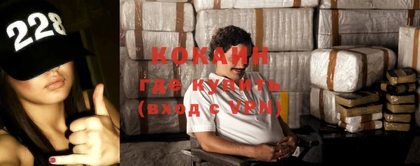 гидра Алзамай